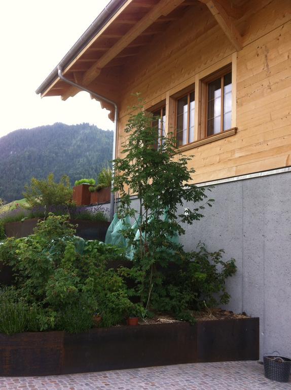 Chalet Park Apartment Mit Sauna Hamam Diemtigen Pokoj fotografie